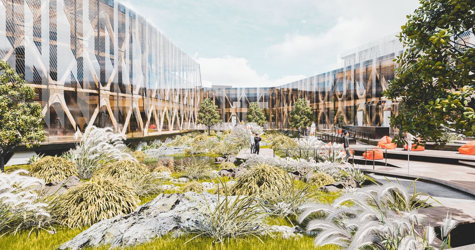 Oasis – the ecologically responsible site response seeks to regenerate the land with a pond, native wetland planting and exposed basalt forest